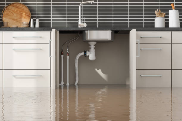 Best Plumbing Leak and Burst Pipe Cleanup in Villa Park, CA